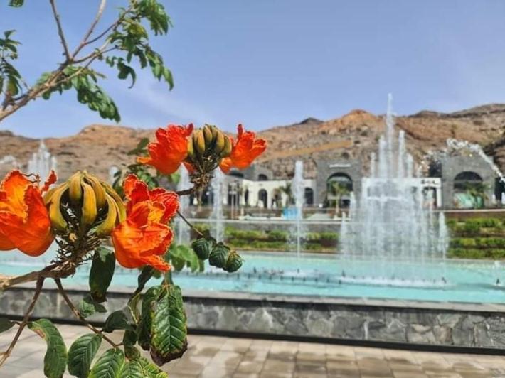 Bonito Apartamento Mogán المظهر الخارجي الصورة